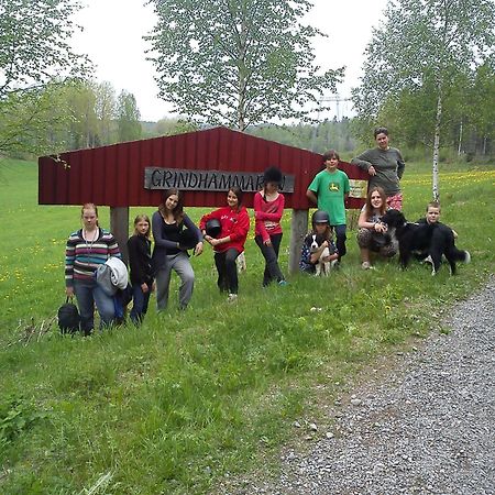 Grindhammaren B&B Ramsberg 外观 照片