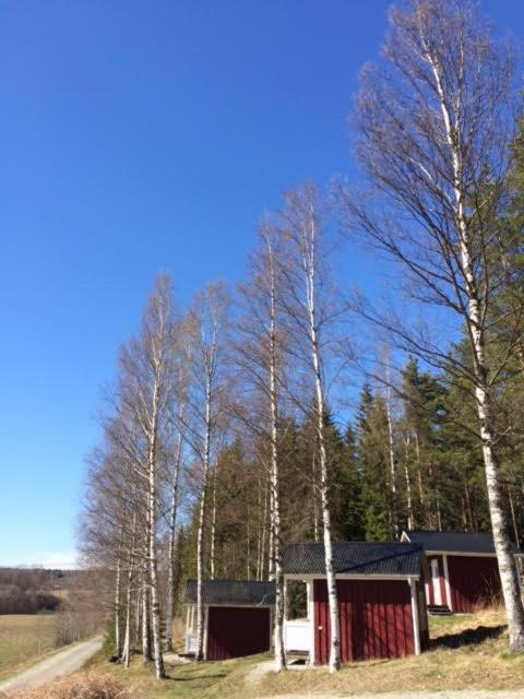 Grindhammaren B&B Ramsberg 外观 照片